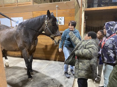 Trevitt students with horse